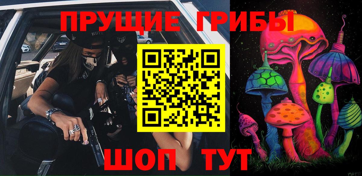 купить наркотики сайты  Вход с VPN  Нижний Тагил  Псилоцибиновые грибы Psilocybine cubensis 
